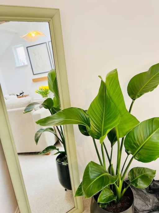 Central Thame Cottage Экстерьер фото
